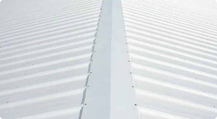 塗装された写真